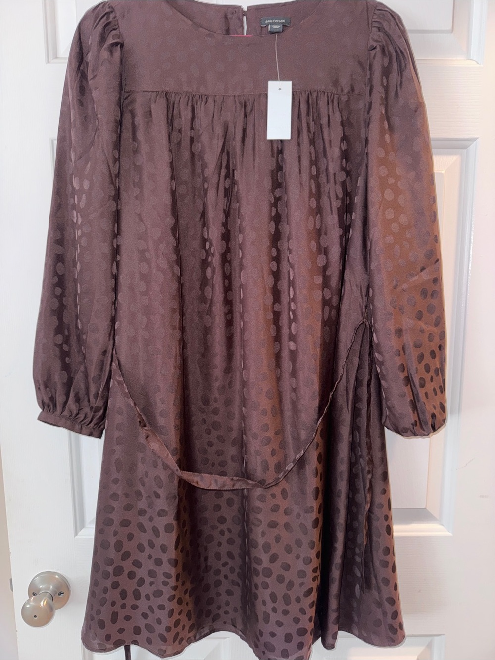 Ann Taylor Dark Brown Long Sleeve Belted Dress - Picture 4 of 4